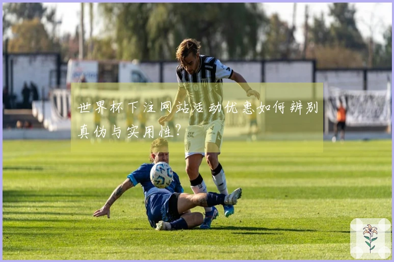 世界杯下注网站活动优惠如何辨别真伪与实用性？