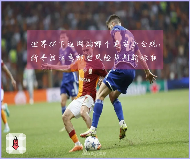 世界杯下注网站哪个更安全合规，新手该注意哪些风险与判断标准