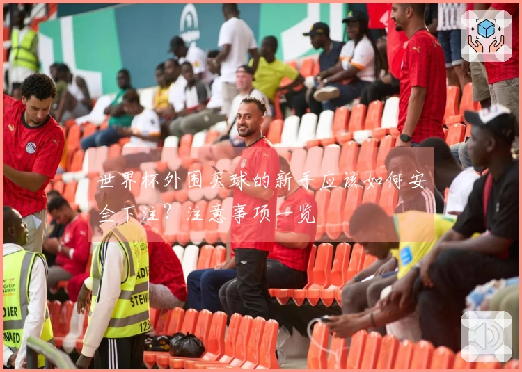 世界杯外围买球的新手应该如何安全下注？注意事项一览