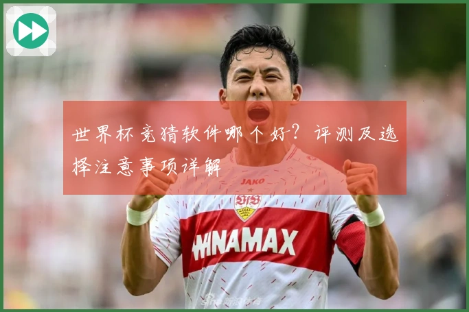 世界杯竞猜软件哪个好？评测及选择注意事项详解