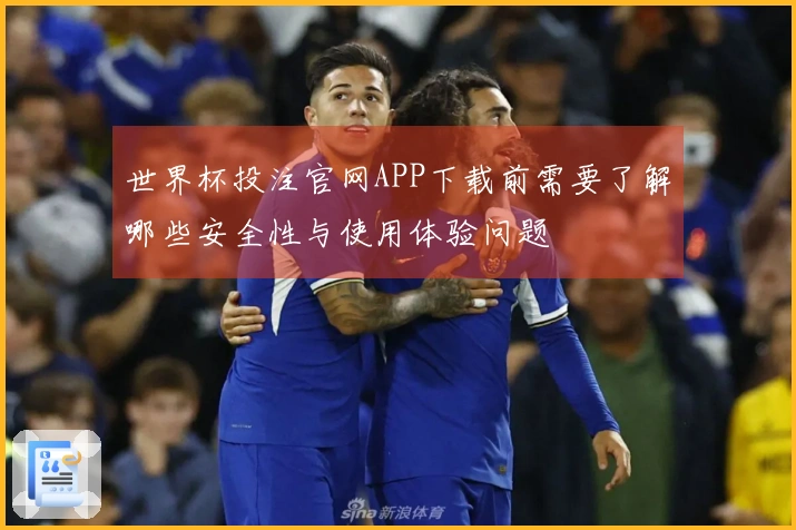 世界杯投注官网APP下载前需要了解哪些安全性与使用体验问题