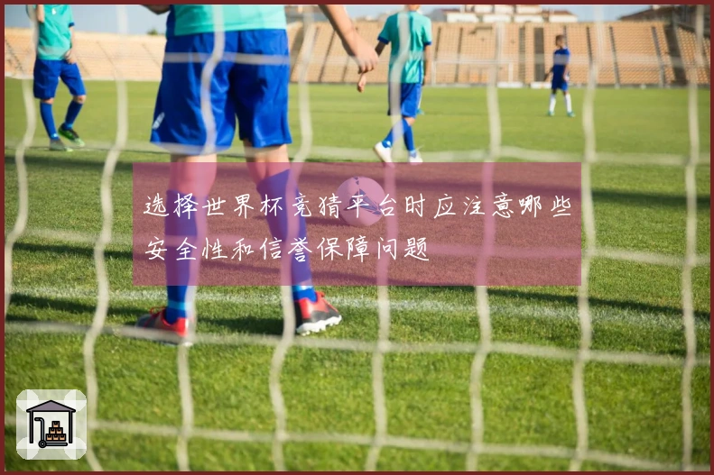 选择世界杯竞猜平台时应注意哪些安全性和信誉保障问题