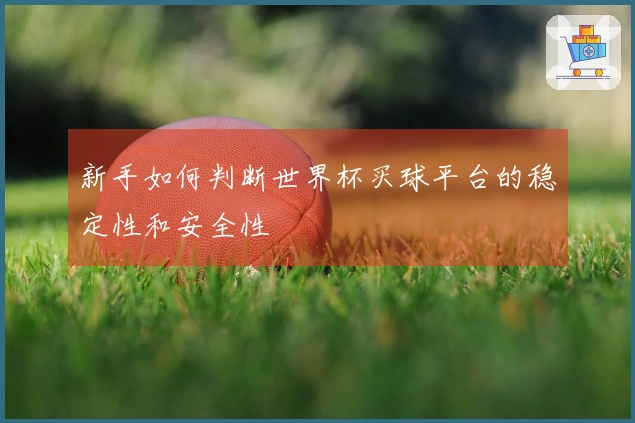新手如何判断世界杯买球平台的稳定性和安全性